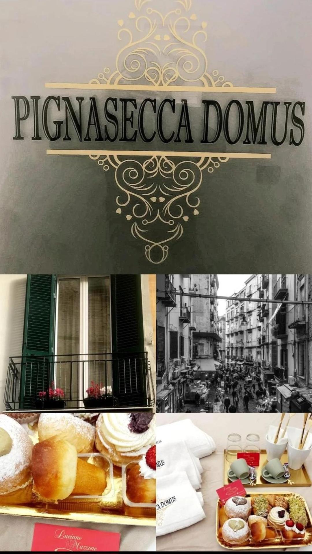 Pignasecca Domus *